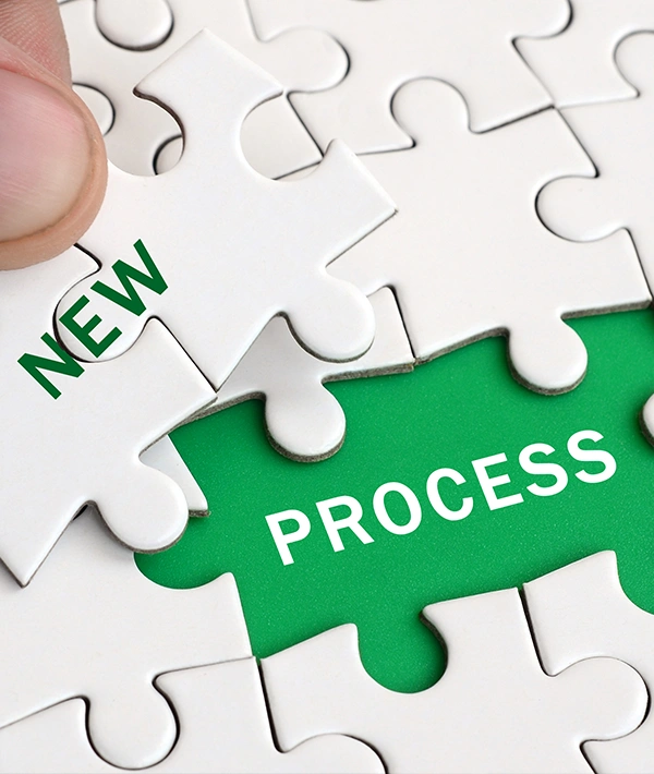 Alt text for Change Management: "Puzzle piece labeled 'new process' completing a business change management concept