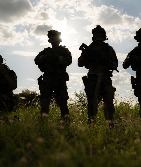 Silhouette of a military unit standing together in a field at dusk